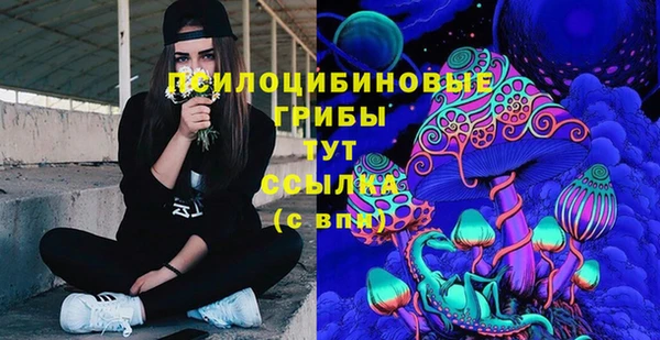 ГАЛЛЮЦИНОГЕННЫЕ ГРИБЫ Бородино