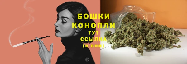 первитин Инта