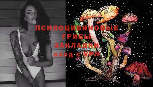 ГАЛЛЮЦИНОГЕННЫЕ ГРИБЫ Бородино