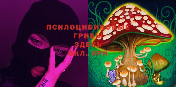 прущая мука Верхний Тагил